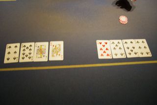 IMGP2692.jpg