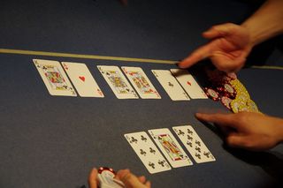IMGP7300.jpg