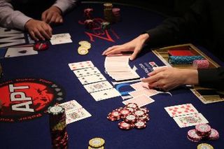 IMG_3931.jpg