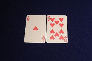 IMG_3946.jpg