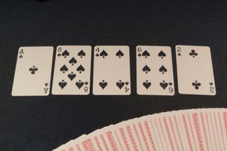 IMG_8519.jpg